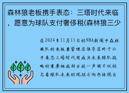森林狼老板携手表态：三塔时代来临，愿意为球队支付奢侈税(森林狼三少)
