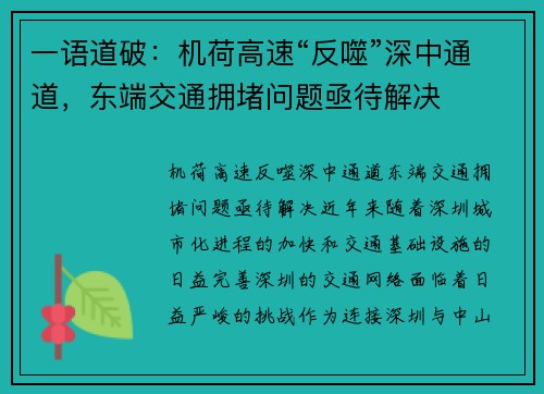 一语道破：机荷高速“反噬”深中通道，东端交通拥堵问题亟待解决