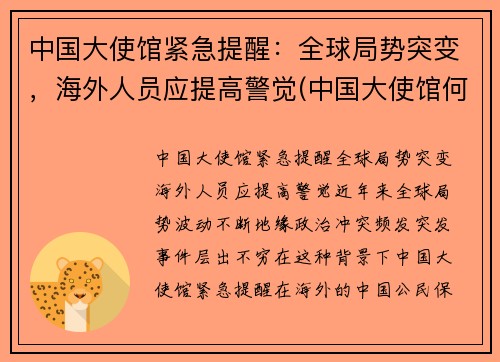 中国大使馆紧急提醒：全球局势突变，海外人员应提高警觉(中国大使馆何时恢复)