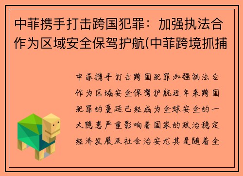 中菲携手打击跨国犯罪：加强执法合作为区域安全保驾护航(中菲跨境抓捕)