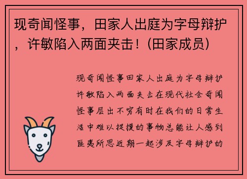 现奇闻怪事，田家人出庭为字母辩护，许敏陷入两面夹击！(田家成员)