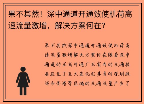 果不其然！深中通道开通致使机荷高速流量激增，解决方案何在？