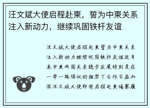 汪文斌大使启程赴柬，誓为中柬关系注入新动力，继续巩固铁杆友谊
